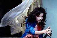 Райская птица Бьорк (Bjork)