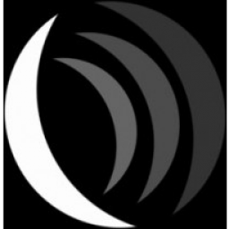 Логотип Новая Луна