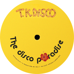 Логотип Radio T.K. Disco