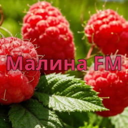 Логотип Радио Малина