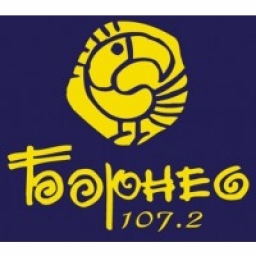 Логотип Радио Борнео