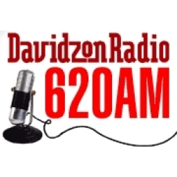 Логотип Davidzon Radio