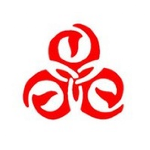 Lotos iRadio