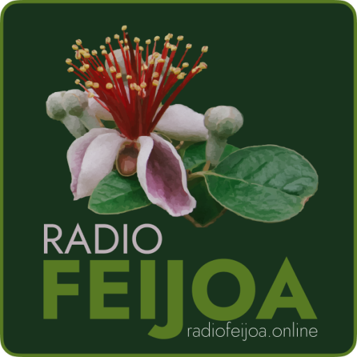 Радио Фейхоа - Radio Feijoa